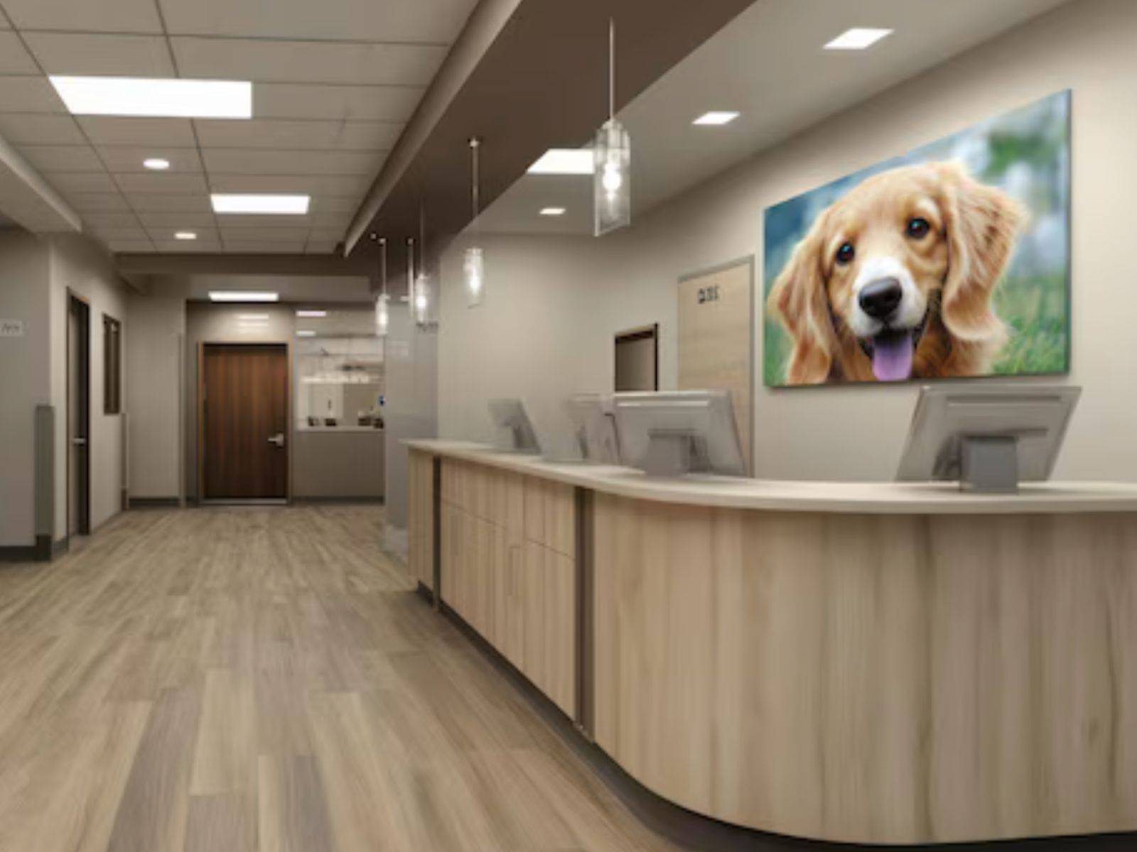 clinique vétérinaires