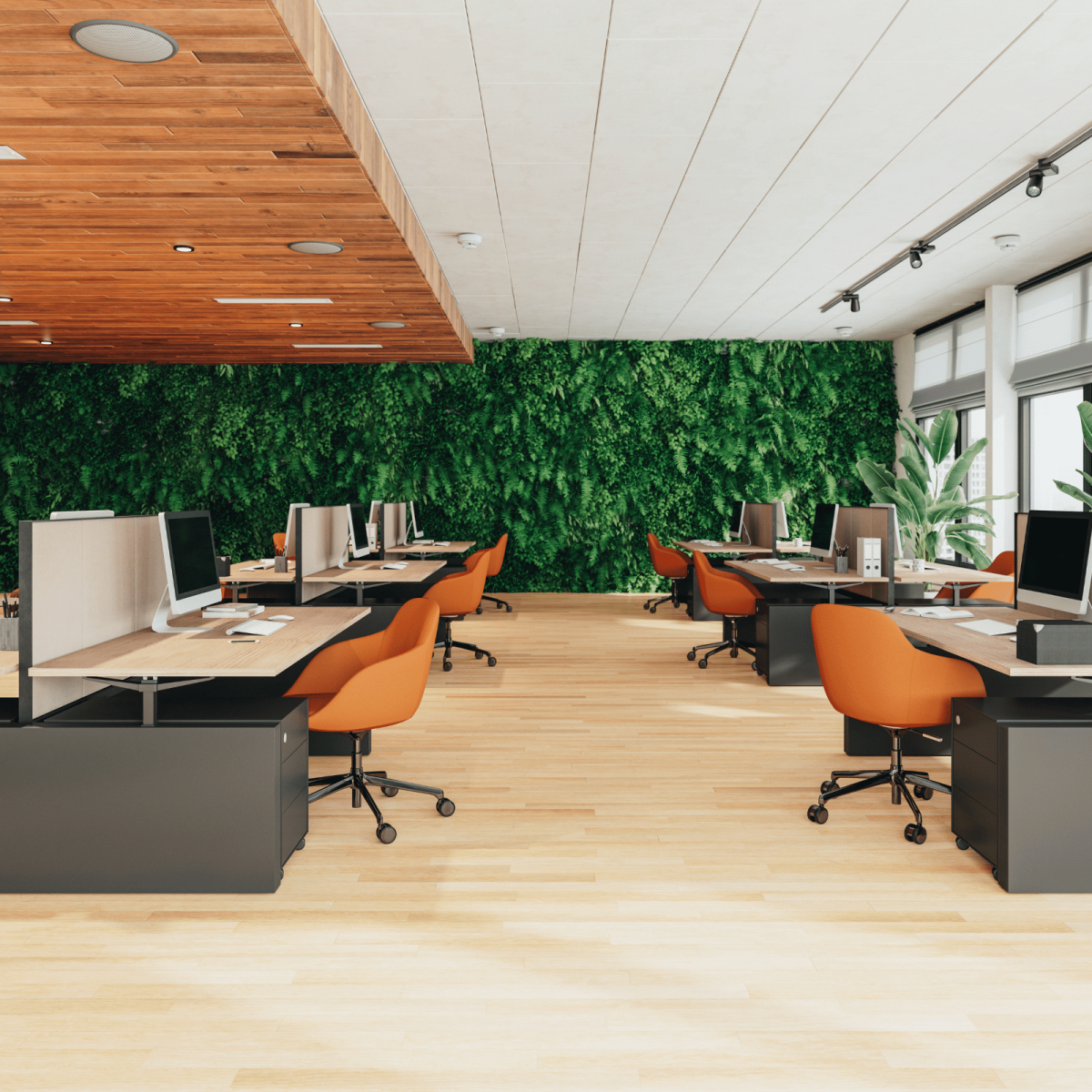 Menage regulier co working