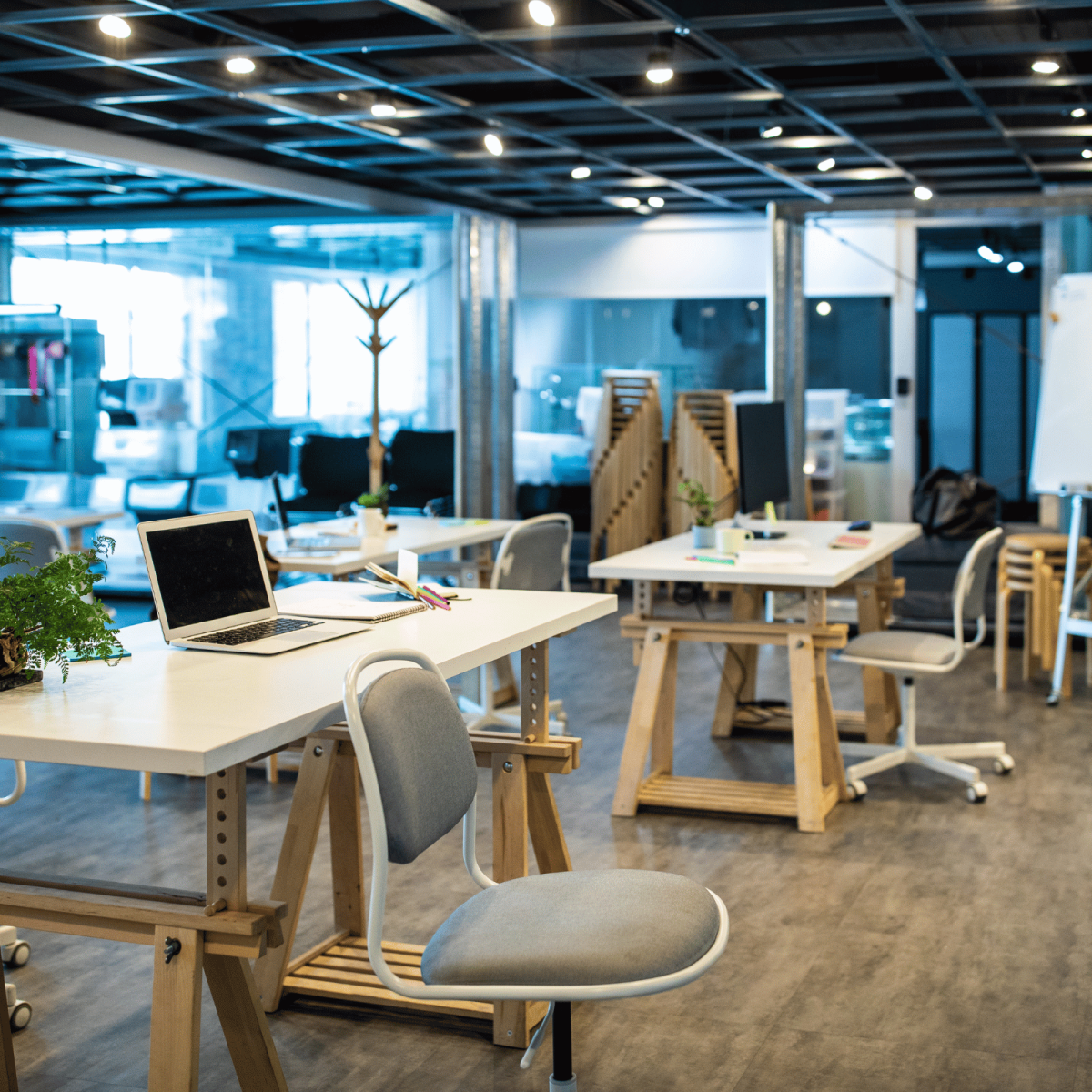 Entretien coworking pour professionnels 