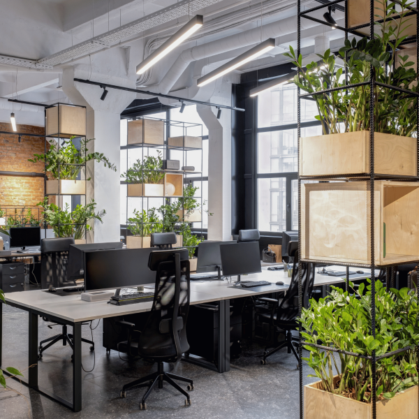 Menage regulier co working